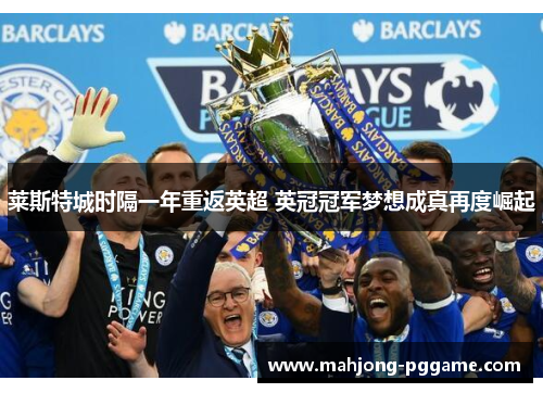 莱斯特城时隔一年重返英超 英冠冠军梦想成真再度崛起