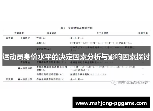 运动员身价水平的决定因素分析与影响因素探讨 运动员身价水平的决定因素分析与影响因素探讨