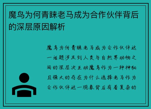 魔鸟为何青睐老马成为合作伙伴背后的深层原因解析 魔鸟为何青睐老马成为合作伙伴背后的深层原因解析